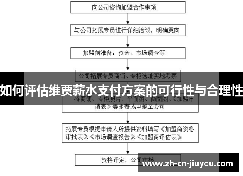 如何评估维贾薪水支付方案的可行性与合理性