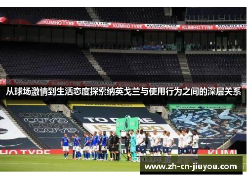 从球场激情到生活态度探索纳英戈兰与使用行为之间的深层关系 从球场激情到生活态度探索纳英戈兰与使用行为之间的深层关系