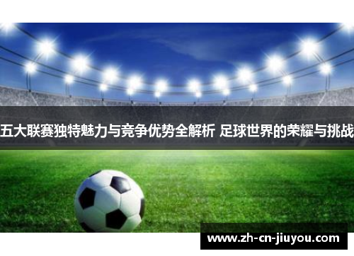 五大联赛独特魅力与竞争优势全解析 足球世界的荣耀与挑战 五大联赛独特魅力与竞争优势全解析 足球世界的荣耀与挑战