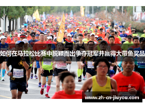 如何在马拉松比赛中脱颖而出争夺冠军并赢得大带鱼奖品