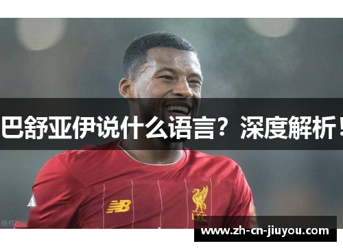 巴舒亚伊说什么语言?深度解析! 巴舒亚伊说什么语言?深度解析!